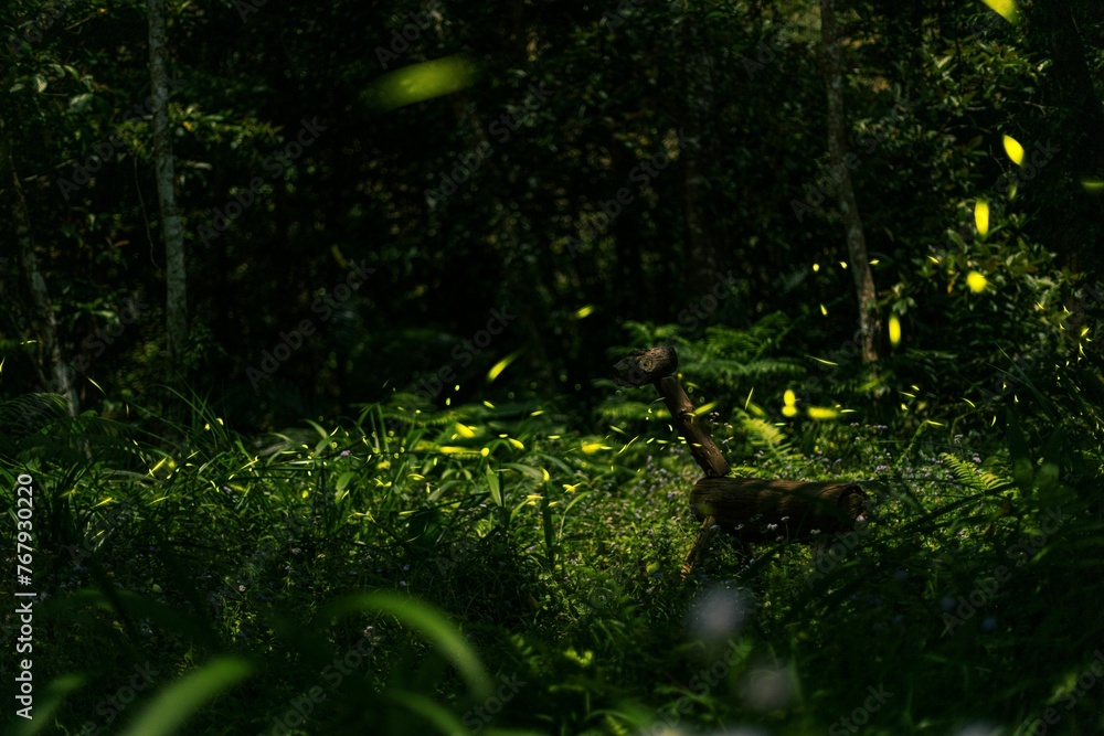Small wooden animal stands in a wilderness forest Small wooden animal stands in a wilderness forest
