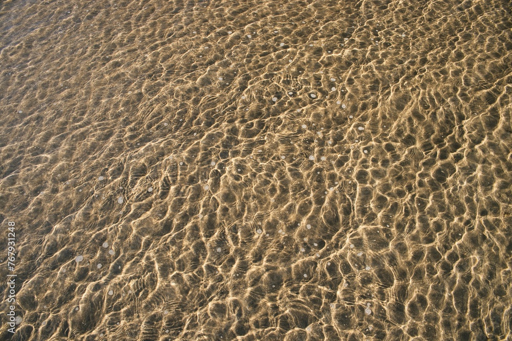 The texture of shallow water on wet sand The texture of shallow water on wet sand