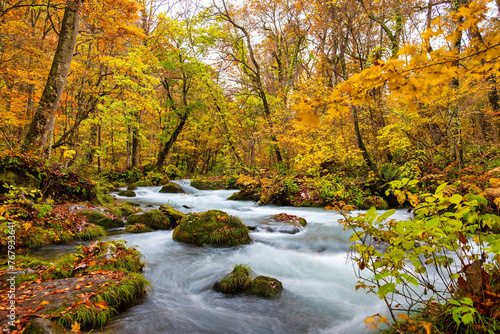 The beautiful autumn scene of Waterfall in Oirase stream, Towada, Japan