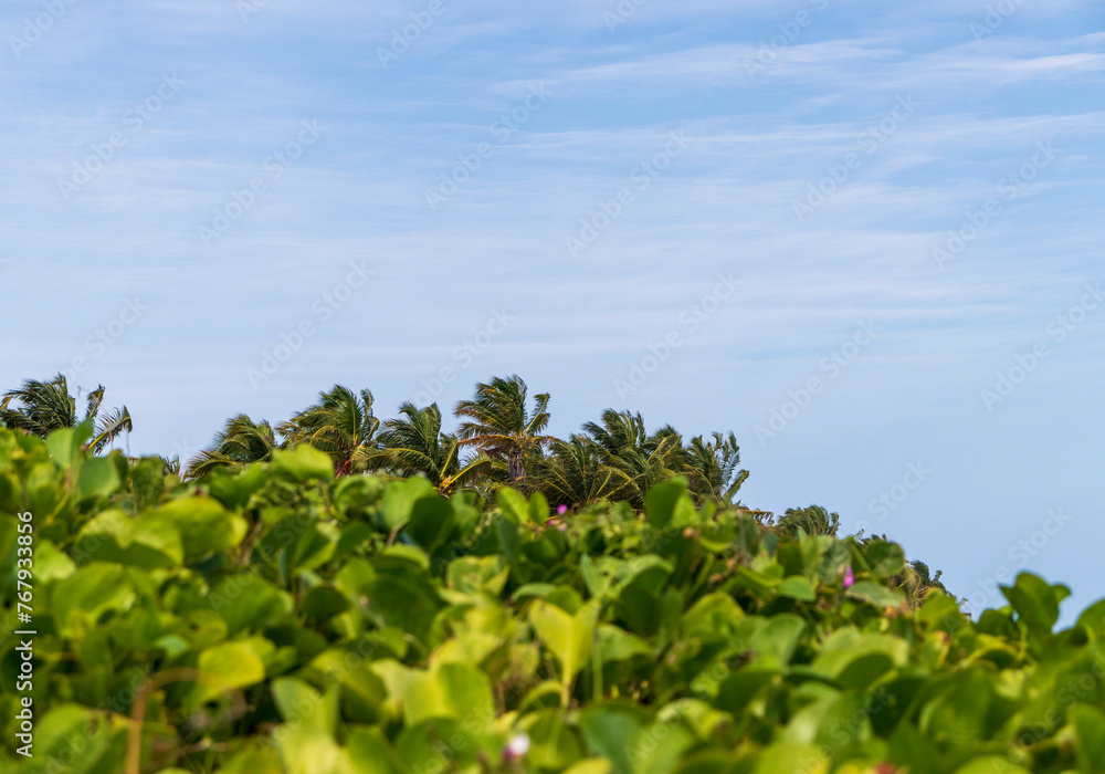 Landscape shot of the tropical island. Nature Landscape shot of the tropical island. Nature