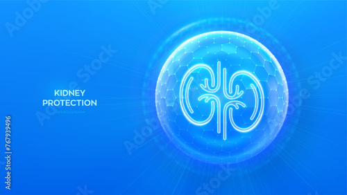 Kidneys care. Healthy kidneys medical concept. Human kidney anatomy organ icon inside protection sphere shield with hexagon pattern on blue background. Immunity protection. Vector illustration.