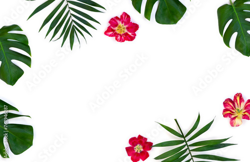 Tropical leaves palm tree and monstera with red yellow flowers on a white background with space for text. Top view, flat lay