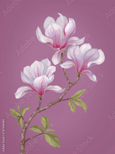Hand painted acrylic illustration of magnolia flower. Perfect for poster, home textile, packaging design, stationery, wedding invitations and other prints