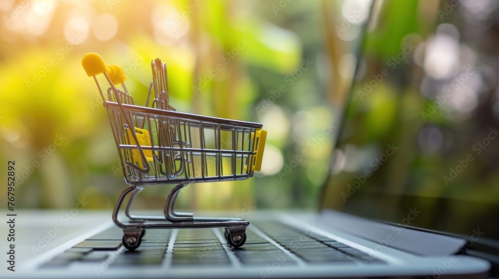 Shopping cart and laptop. Online shopping concept Shopping cart and laptop. Online shopping concept