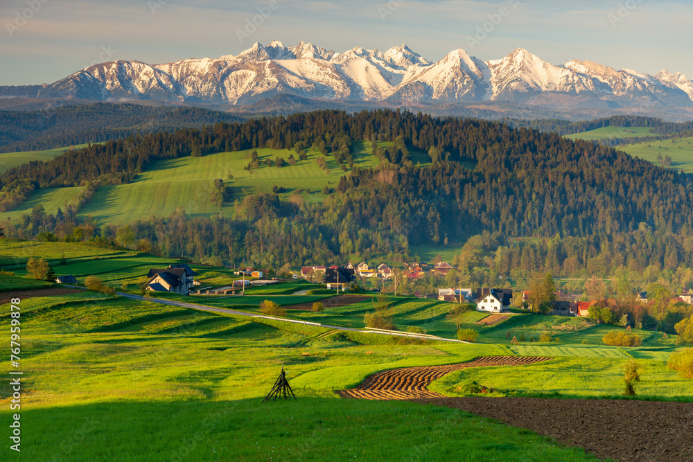 Green spring meadow with snowy mountains in the background. Sromowce village, Pieniny, Poland.
