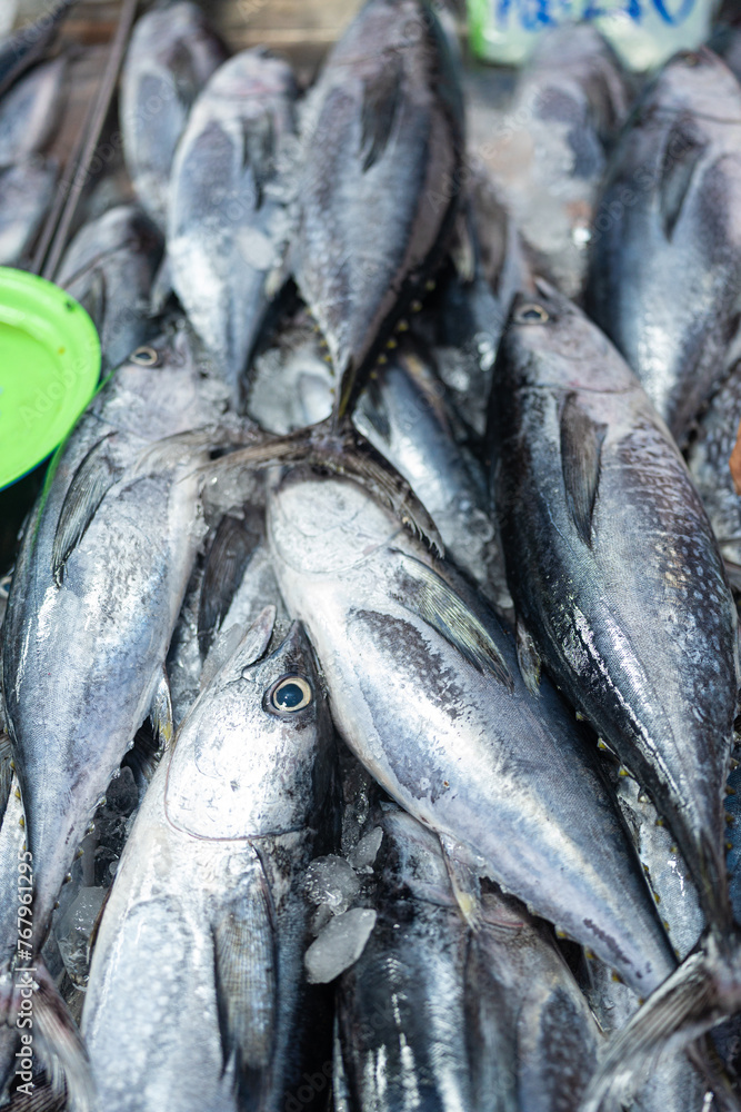 Obraz premium Various tuna sea fish sell in fishery fresh market