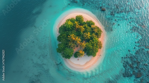 A Small Island in the Middle of the Ocean