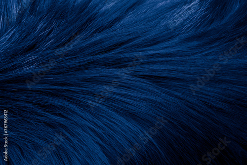 dog hair, blue background or texture