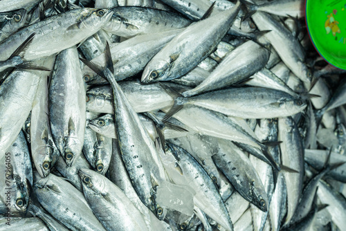 Various tuna sea fish sell in fishery fresh market