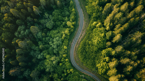 Aerial View of a Winding Road Through Lush Green Forest