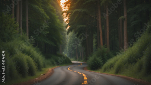 The Road Through the Forest