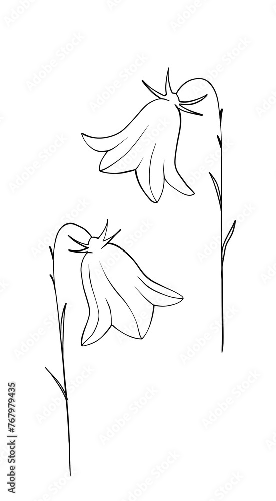 Set isolated contour wildflowers line art hand drawn Set isolated contour wildflowers line art hand drawn