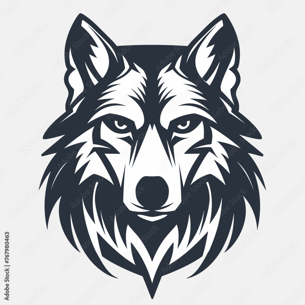 Fototapeta premium Monochrome Wolf Gaze