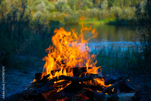 Burning fire with wood. Cooking and heating concept.