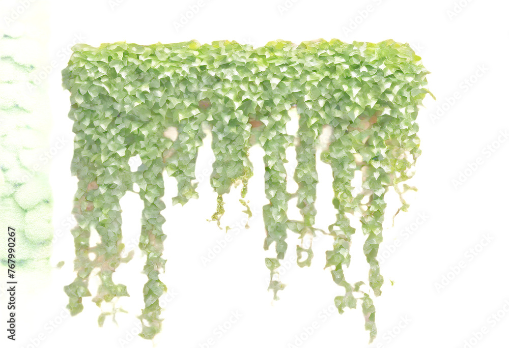 home ivy geen vine wall ?rawling brick liana garden Decoration home climbing hanging