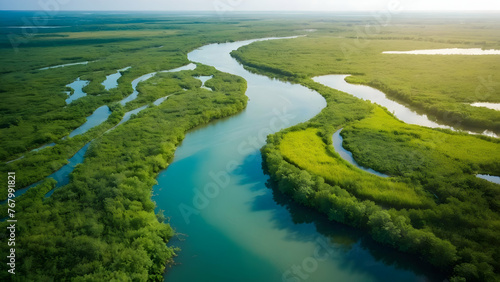 Photo real for Aerial view of a winding river through lush wetlands in Summer Season theme  Full depth of field  clean bright tone  high quality  include copy space  No noise  creative idea