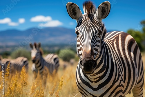 Zebras grazing in an African savannah under the sun.  generative IA