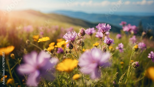 Photo real for Wildflowers blooming on a sunny hillside in Summer Season theme ,Full depth of field, clean bright tone, high quality ,include copy space, No noise, creative idea
