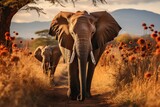 Safari elephants, lions and giraffes in nature., generative IA
