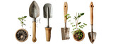 Gardening tools and young plants on a white background