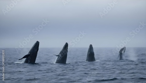 A Group Of Humpback Whales Singing Their Haunting