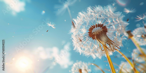 Dandelion seeds blowing in the wind on a blue sky background with copy space. Goodbye Summer. Hope and dreaming concept. Fragility. Springtime banner