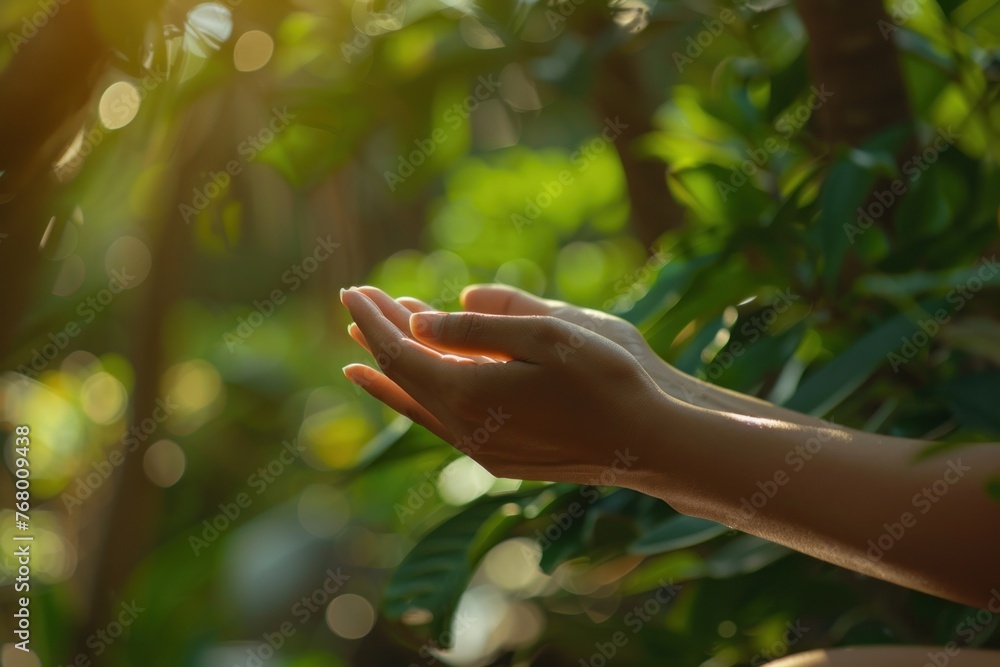Womans Hands in Prayer Position with Beautiful Green Bokeh Background, Symbolizing Serenity and Peace for Meditation, Yoga, and Prayer Practice Womans Hands in Prayer Position with Beautiful Green Bokeh Background, Symbolizing Serenity and Peace for Meditation, Yoga, and Prayer Practice
