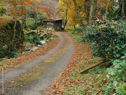 山道と秋の森 © ohira02