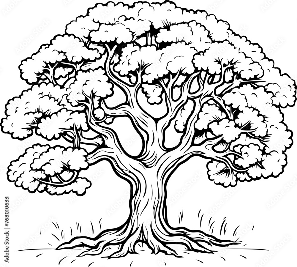 Fototapeta premium Oak tree sketch drawing