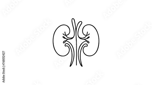Human kidneys with ureters one line art. Continuous line drawing of human, internal, organs, kidneys, ureters, excretory system.Web