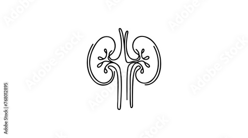 Human kidneys with ureters one line art. Continuous line drawing of human, internal, organs, kidneys, ureters, excretory system.Web