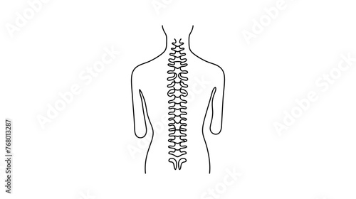 Spine one line on white background, simple sketch of part of skeleton.