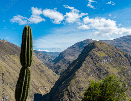 Nariz del Diablo, voie ferrée qui serpente à travers les montagnes en Equateur. Cactus. photo