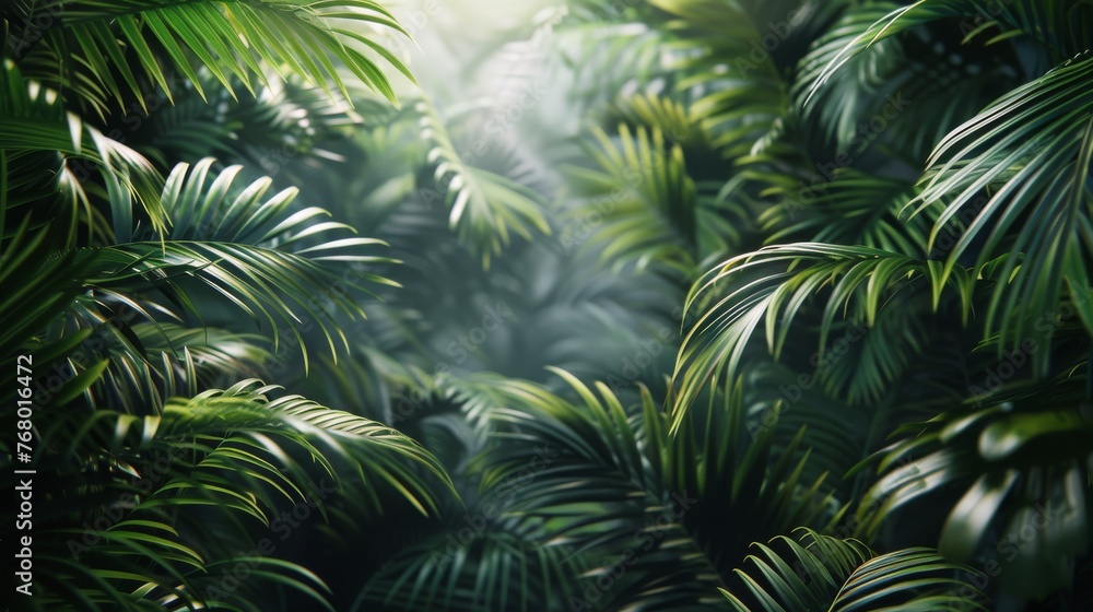 Dense Jungle With Abundant Trees Dense Jungle With Abundant Trees