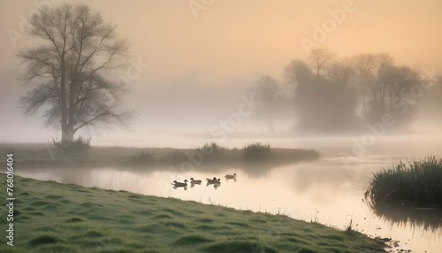 Ducks With Soft Morning Mist Enveloping The Landsc