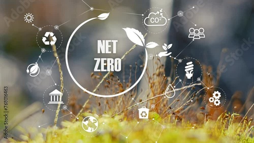 Wallpaper Mural Net zero by 2050. Carbon neutral. Net zero greenhouse gas emissions target. Climate neutral long term strategy. No toxic gase. Limit climate change and grobal warming. Sustainable business development Torontodigital.ca