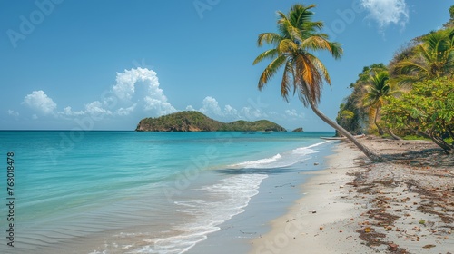 Tropical Beach With Palm Trees and Clear Blue Water