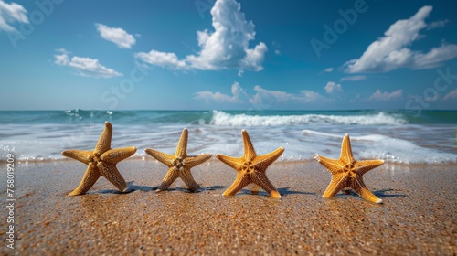 Two Starfish on Beach With Ocean Background