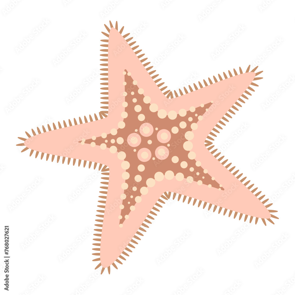 Starfish flat style. Cute Pink Starfish icon. Sea animal Echinoderm. Underwater Marine icon Isolated on white background. Summer vector illustration Starfish flat style. Cute Pink Starfish icon. Sea animal Echinoderm. Underwater Marine icon Isolated on white background. Summer vector illustration