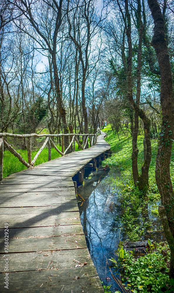 Fototapeta premium National Park Ropotamo Bulgaria. Wooden bridge leads to the Ropotamo river crossing green spring forest.