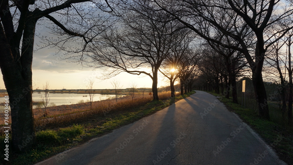 Fototapeta premium 일몰