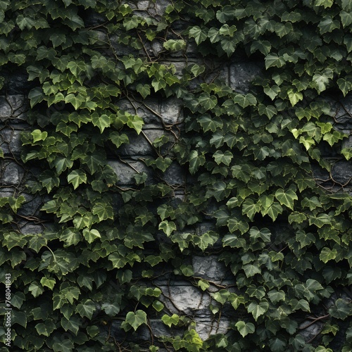 A wall covered in ivy and climbing vines 01 - Perfectly repeating background pattern for your designs photo