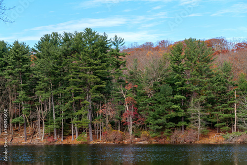 Autumn lake reflecting on a blue sky background and forest landscape. High-quality photo