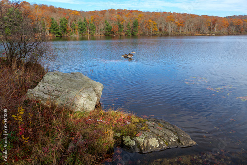 Autumn lake reflecting on a blue sky background and forest landscape. High-quality photo