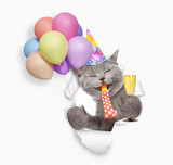 Happy cat wearing party cap blows in party horn and looks through a hole in white paper, holds balloons and glass of champagne