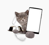 Kitten looks through a hole in white paper, holds empty bowl and shows smartphone with white blank screen in it paw, Empty free space for mock up, banner