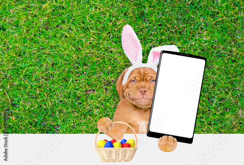 Smiling Mastiff puppy wearing easter rabbits ears holds basket of painted Easter eggs and holds big smartphone with white blank screen in it paw above empty white banner.  Empty space for text