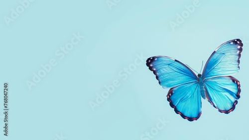 A blue butterfly is isolated on a blue background.