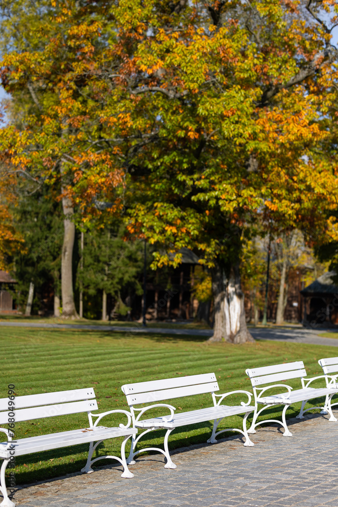 White wooden benches in a city park. A romantic photo of empty benches in sunlight