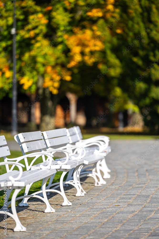 White wooden benches in a city park. A romantic photo of empty benches in sunlight